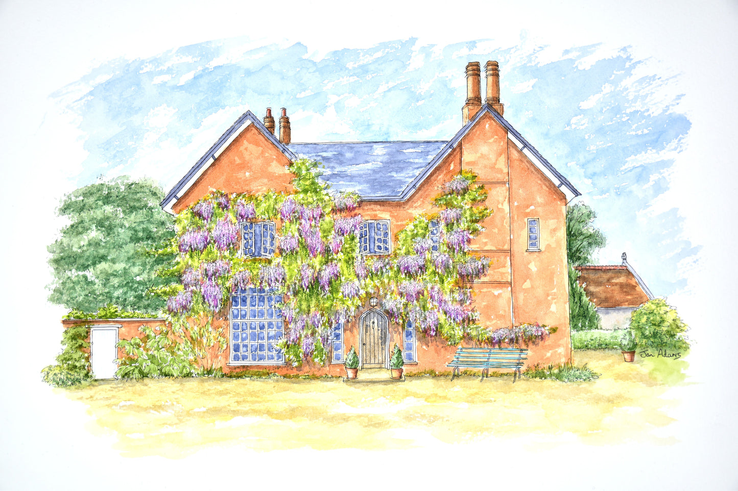 Large detached house with wisteria covering the front wall